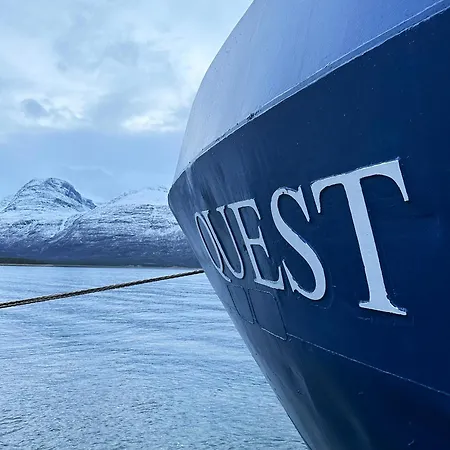 24hrs Northern Lights & Whale Watching Cruise * Tromsø