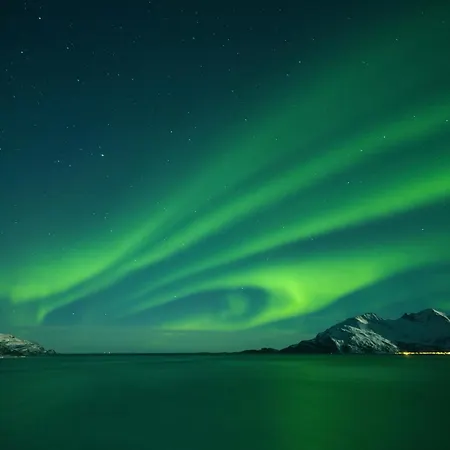 Båthotell 24hrs Northern Lights & Whale Watching Cruise