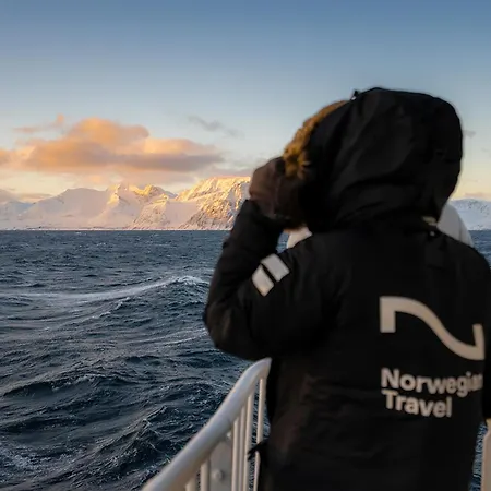 24hrs Northern Lights & Whale Watching Cruise Båthotell