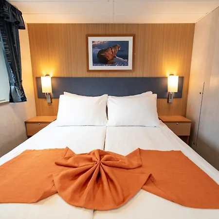 24hrs Northern Lights & Whale Watching Cruise *