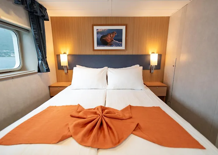 24hrs Northern Lights & Whale Watching Cruise *