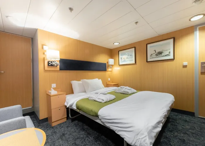 24hrs Northern Lights & Whale Watching Cruise Tromsø