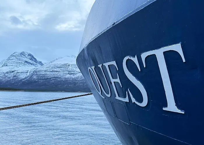 24hrs Northern Lights & Whale Watching Cruise * トロムソ