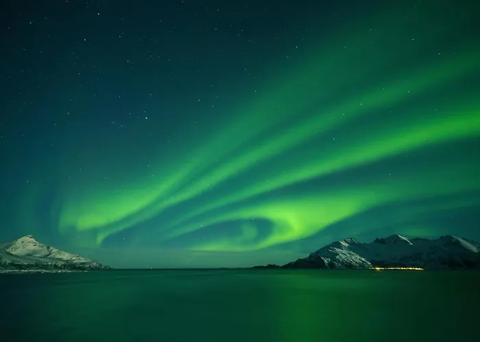 船上ホテル 24hrs Northern Lights & Whale Watching Cruise