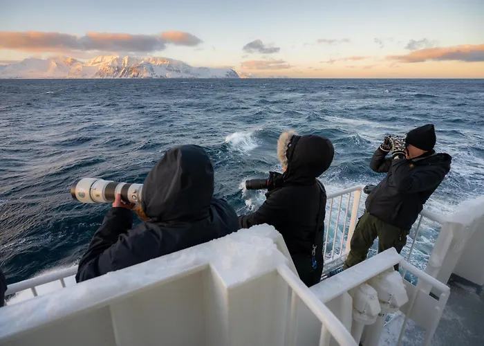 24hrs Northern Lights & Whale Watching Cruise 船上ホテル *