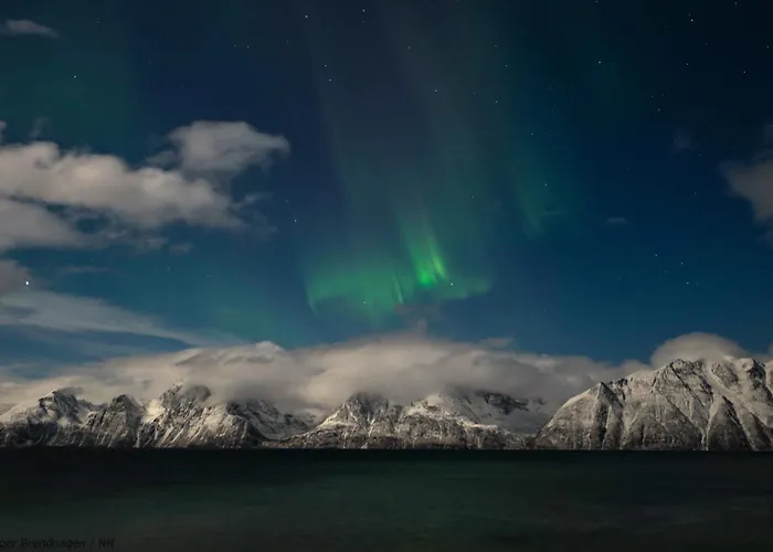 24hrs Northern Lights & Whale Watching Cruise * トロムソ