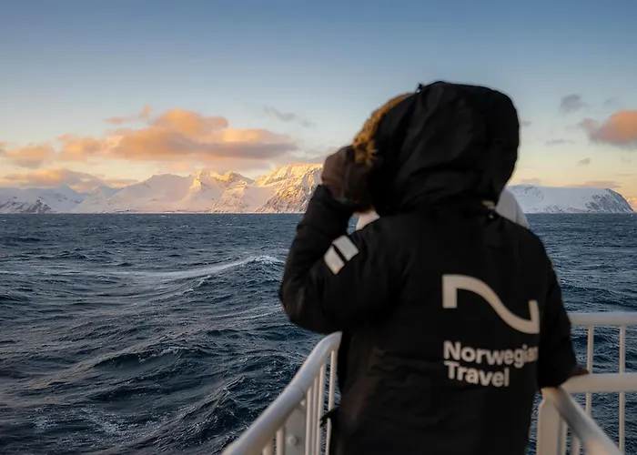 24hrs Northern Lights & Whale Watching Cruise 船上ホテル
